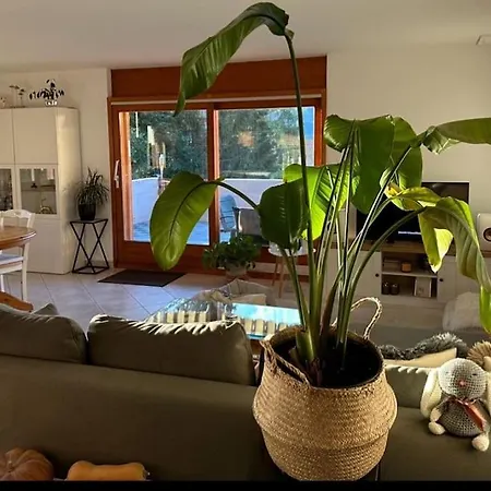 Spacieux Et Cosy A Apartment Ovronnaz